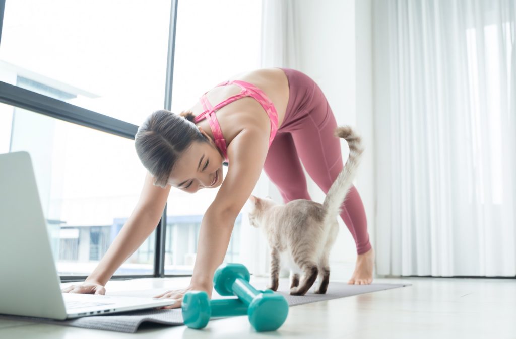 Woman train fitness at home with cat